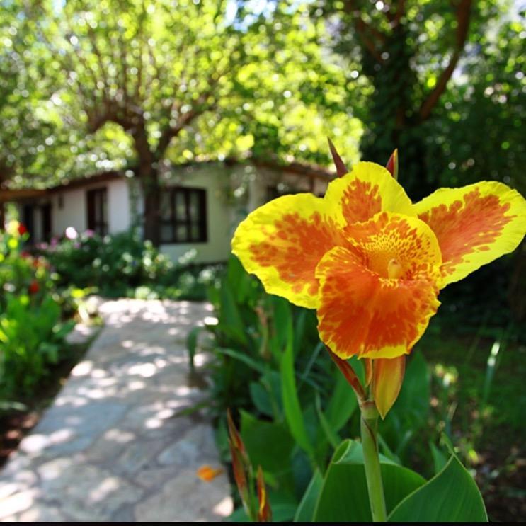 Dolunay Apart Hotel Çıralı 外观 照片