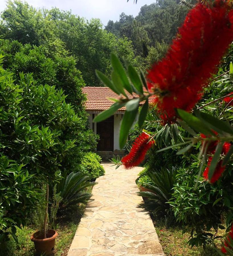 Dolunay Apart Hotel Çıralı 外观 照片